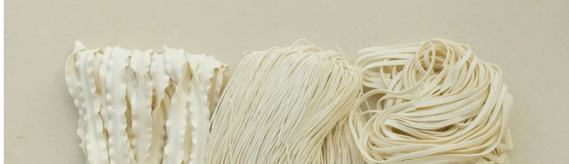 North Carolina Good Taste Noodles Corp